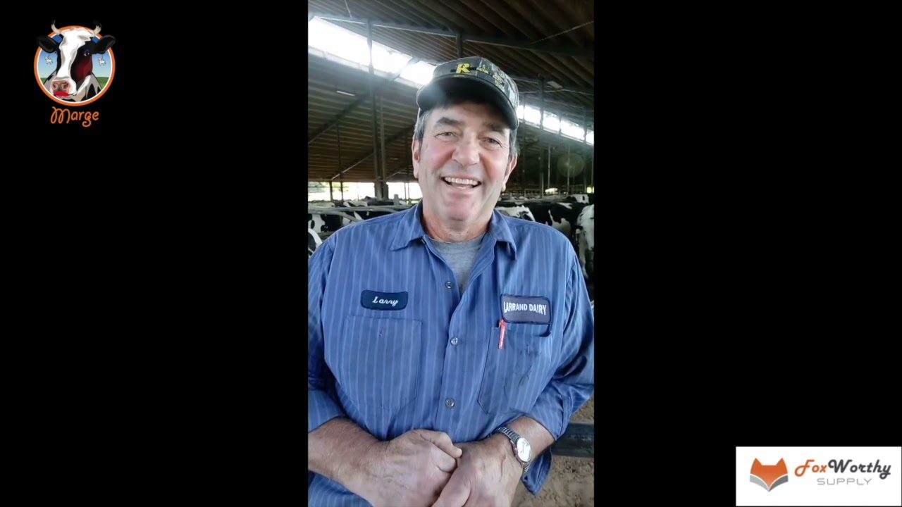 Foxworthy Sand Saver Review by Larry OudenHoven Lerrand Dairy Wisconsin